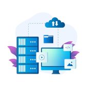 Third-Party Hosting Management:​